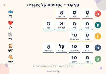 תצוגה מקדימה: לוח הניקוד